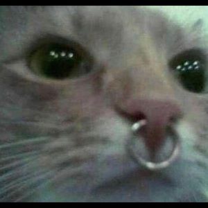 Meet your Posher, Vanesa